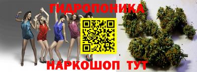 соль ск Партизанск